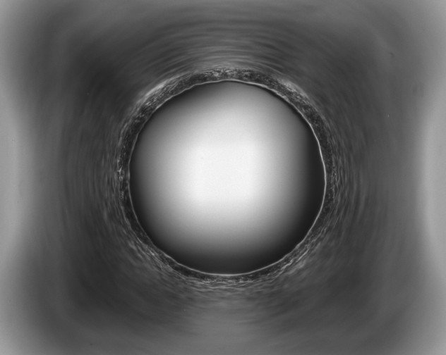 X0000087560822200704270924