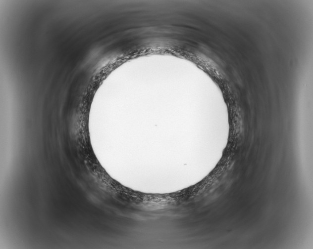 X0000087560824200704270924
