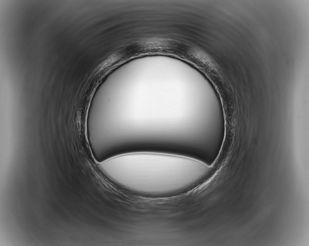 X0000087560825200704270924