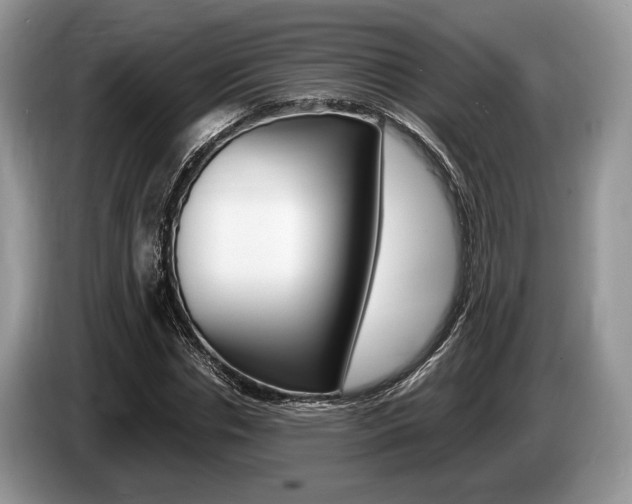X0000087560826200704270924