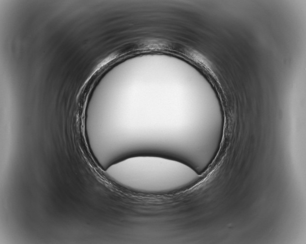 X0000087560827200704270924