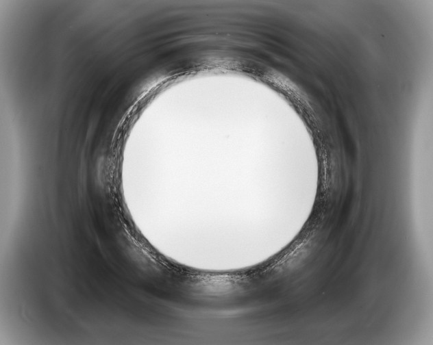 X0000087560828200704270924