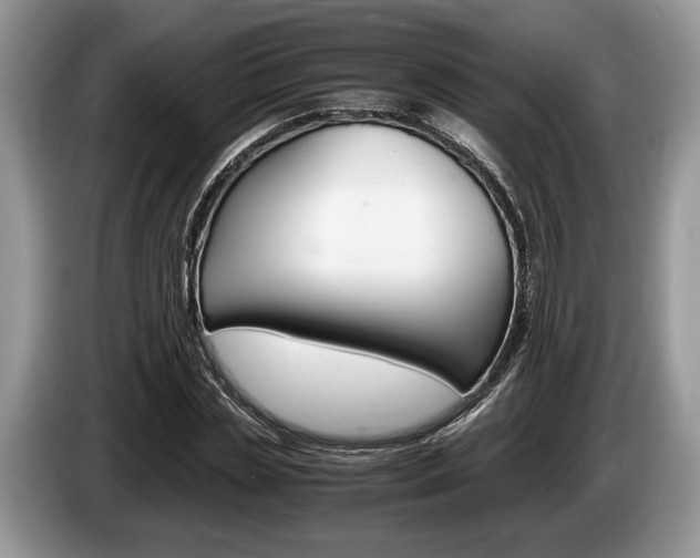 X0000087560829200704270924