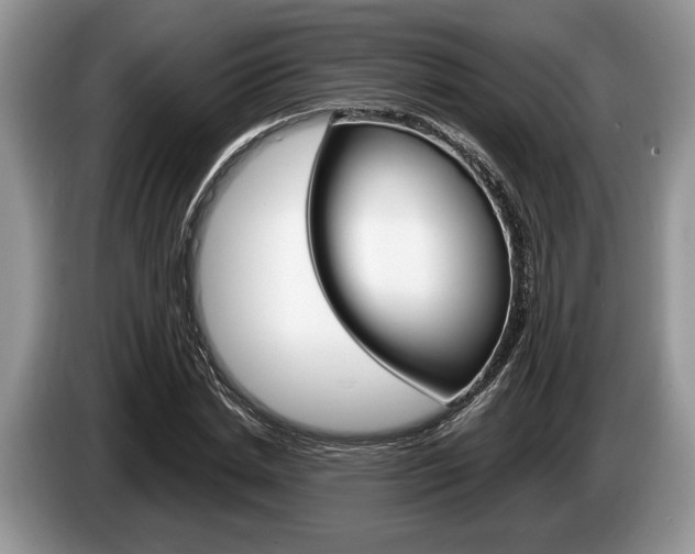 X0000087560830200704270924
