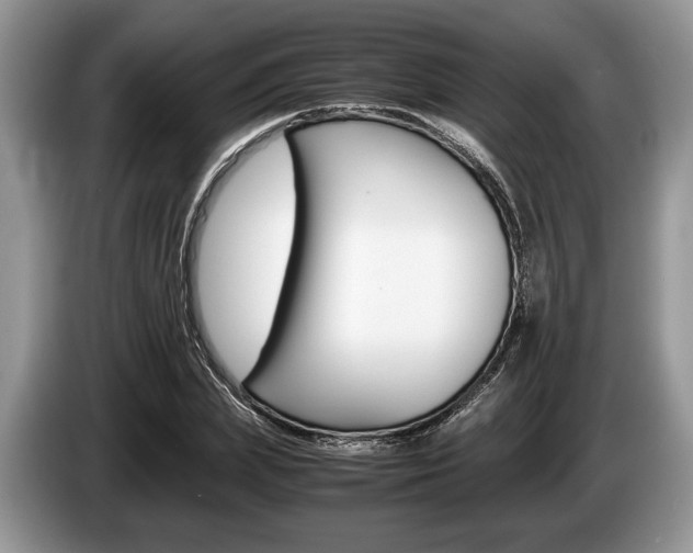 X0000087560831200704270924