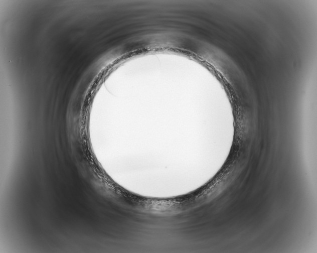 X0000087560832200704270924