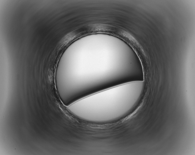 X0000087560833200704270924