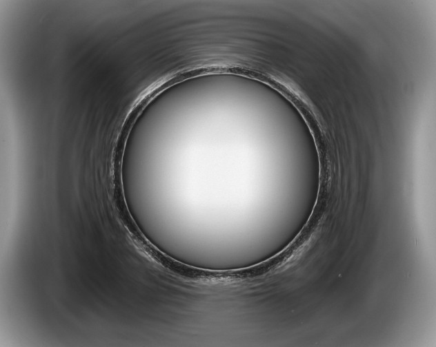 X0000087560834200704270924