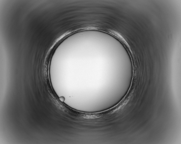 X0000087560835200704270924