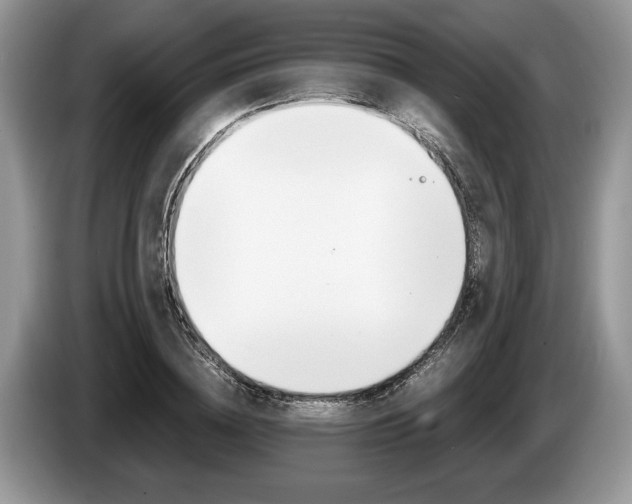 X0000087560836200704270924