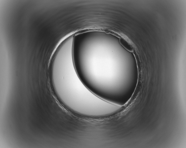 X0000087560838200704270924