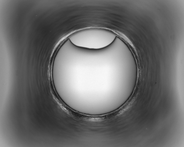 X0000087560839200704270924