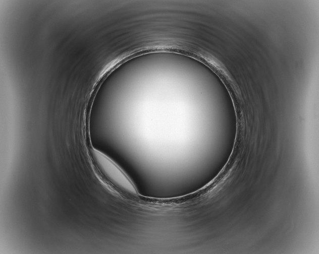 X0000087560842200704270924