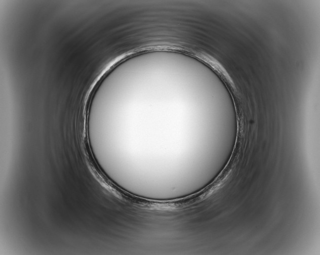 X0000087560844200704270924