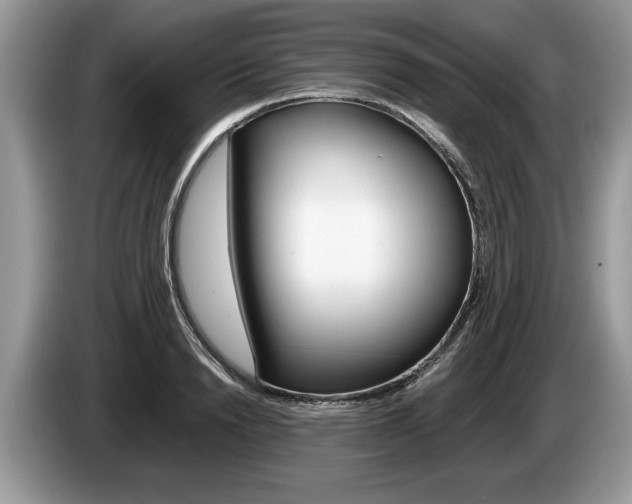 X0000087560846200704270924
