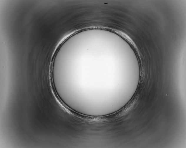 X0000087560847200704270924