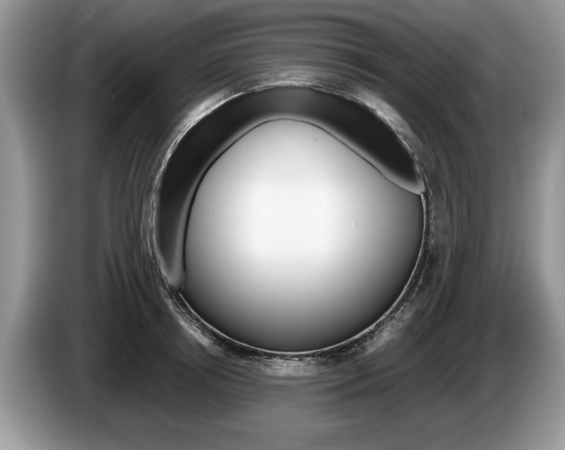 X0000087560850200704270924
