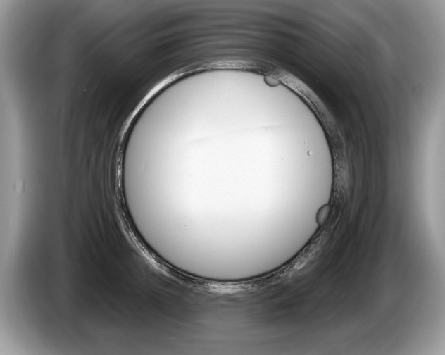 X0000087560852200704270924