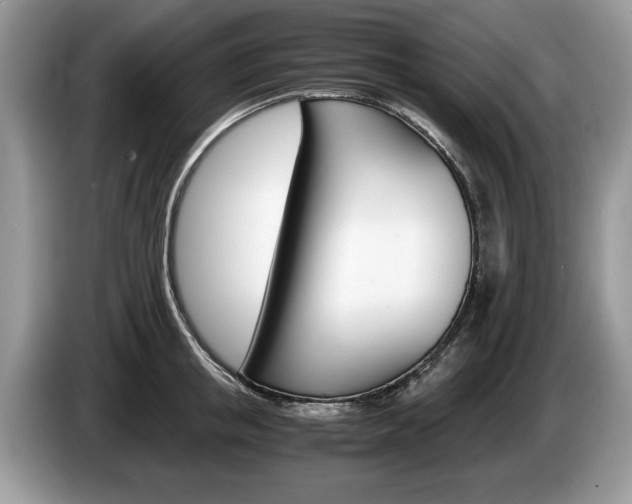 X0000087560853200704270924