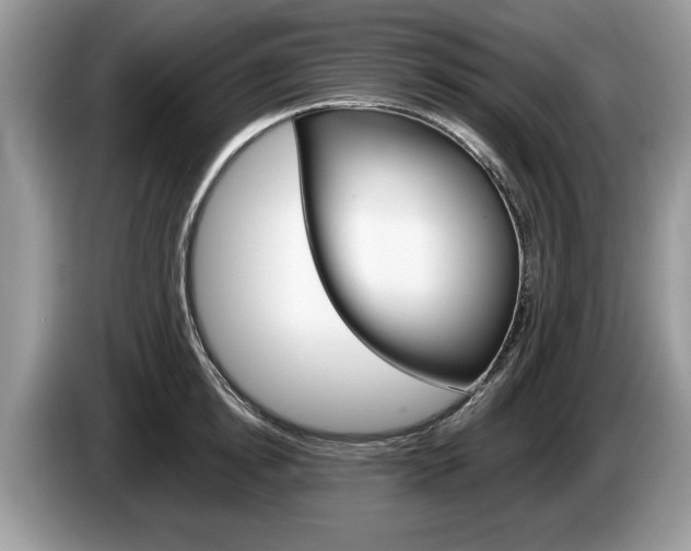 X0000087560854200704270924