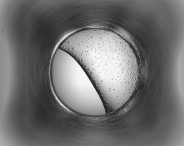 X0000087560855200704270924