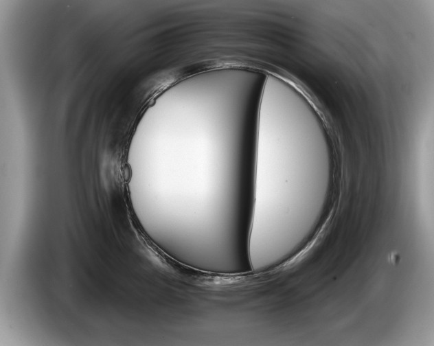 X0000087560857200704270924