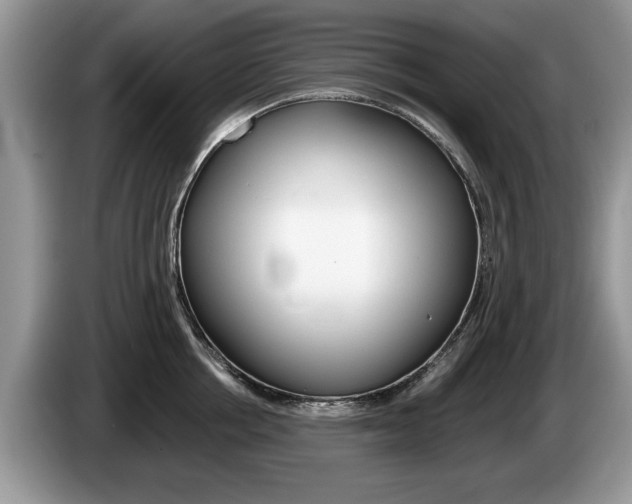 X0000087560858200704270924