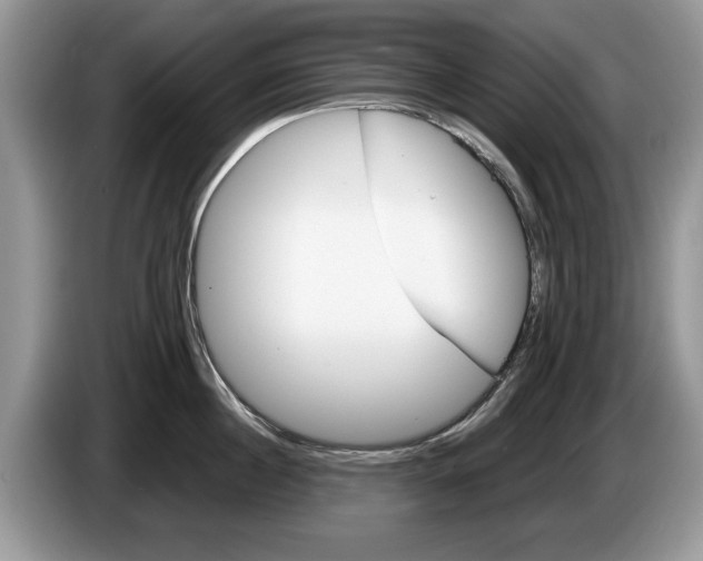 X0000087560860200704270925