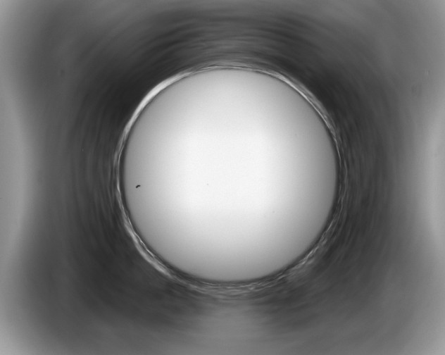 X0000087560862200704270925