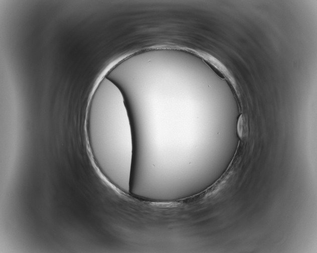 X0000087560863200704270925