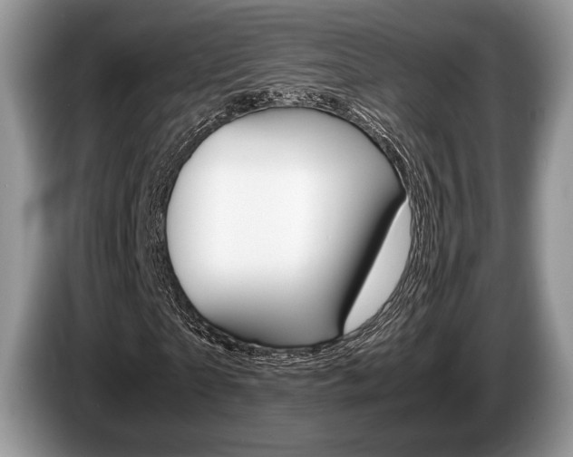 X0000087560865200704270924