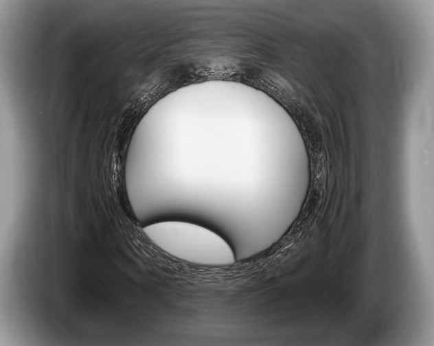 X0000087560866200704270924