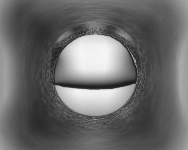 X0000087560869200704270924