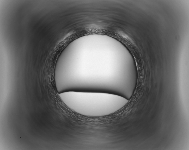 X0000087560870200704270924