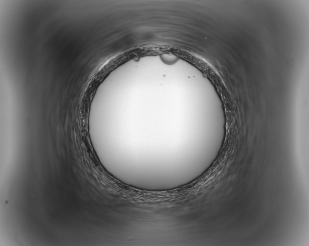 X0000087560871200704270924