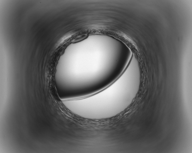 X0000087560872200704270924