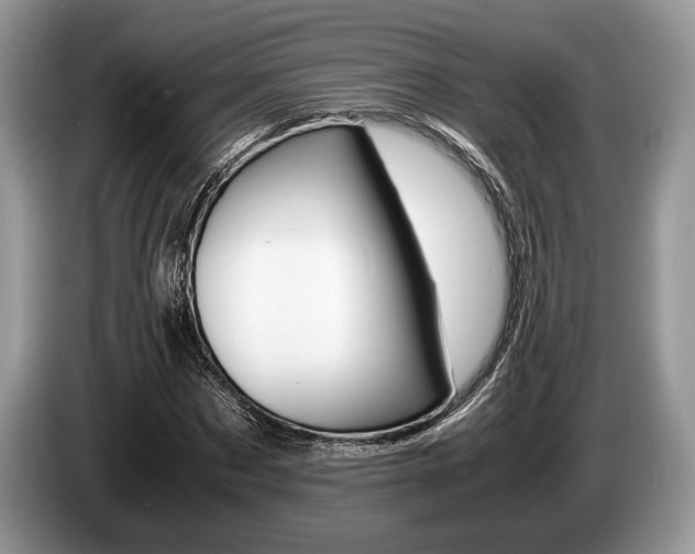 X0000087560873200704270924