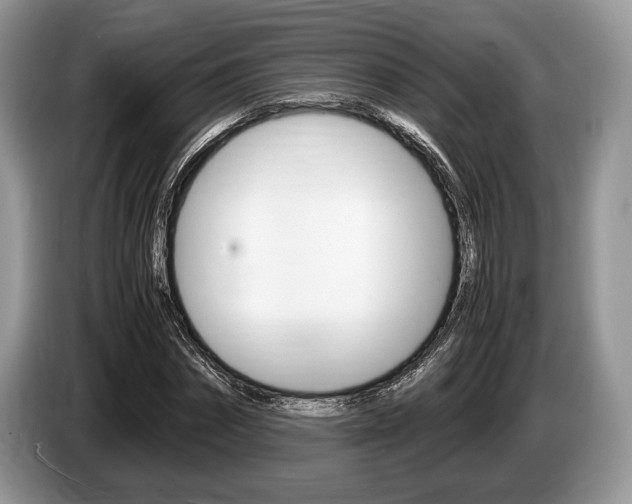 X0000087560874200704270924