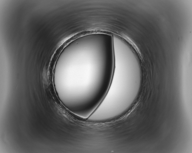 X0000087560876200704270924