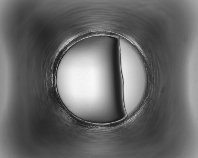 X0000087560877200704270924