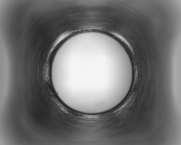 X0000087560878200704270924