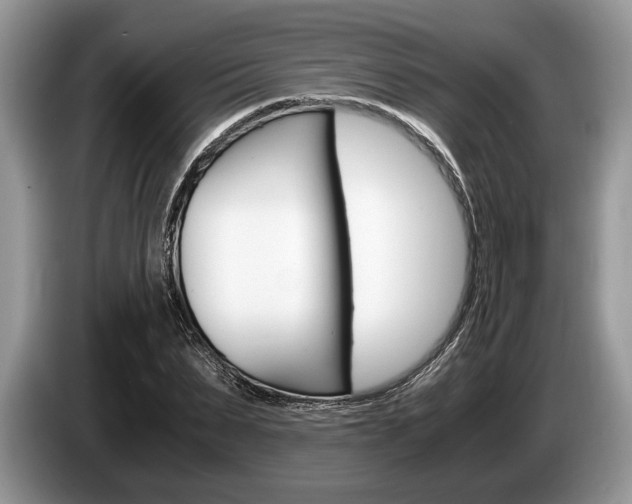 X0000087560879200704270924