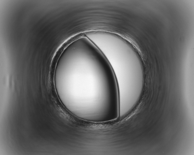 X0000087560880200704270924