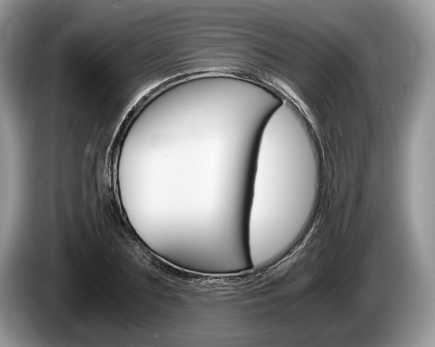 X0000087560883200704270924