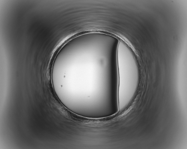 X0000087560885200704270924