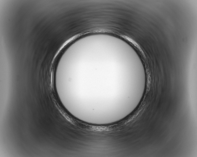 X0000087560886200704270924