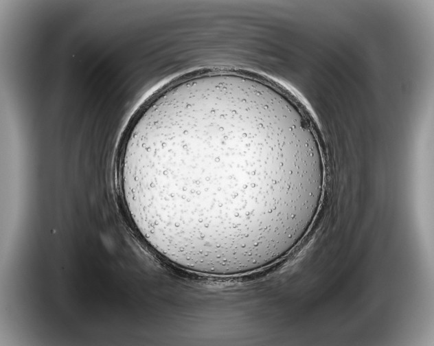 X0000087560887200704270924