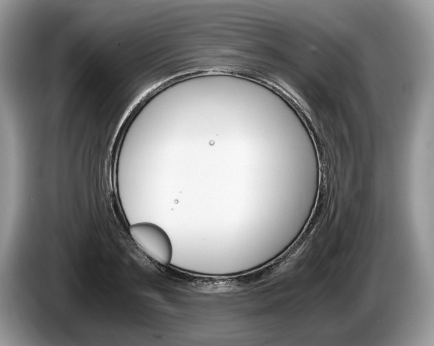 X0000087560891200704270924