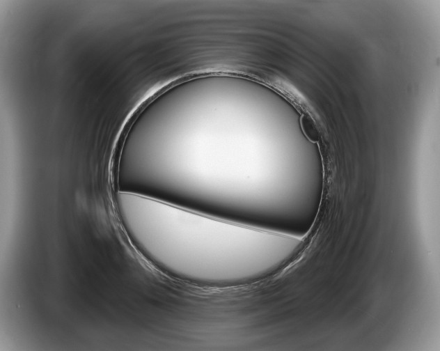 X0000087560892200704270924