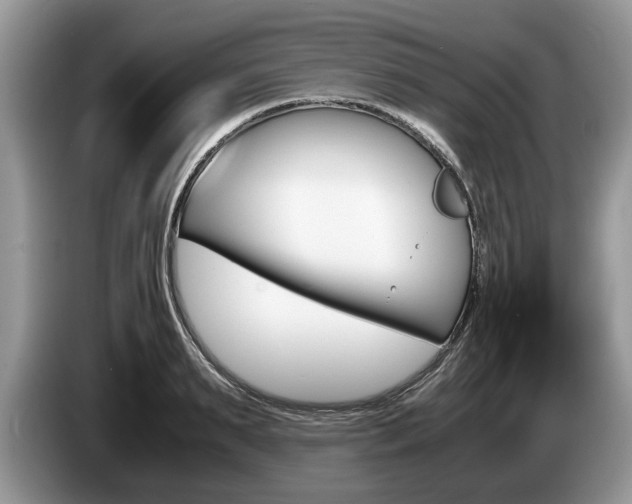 X0000087560895200704270924